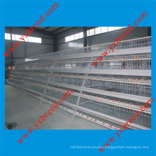 Poultry Farm Equipment